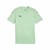 Fresh Mint
